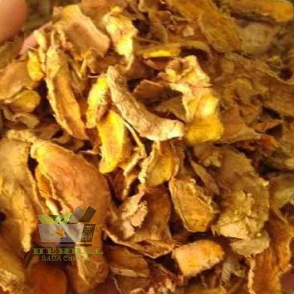 

Jual Biyang Kuyit Kering Per Bungkus Curcuma heyneana
