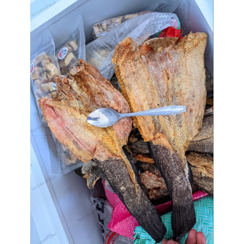 

Ikan Gabus Papua Kering dan Asin | Ikan Kutuk | Ikan Asin | Ikan Albumin