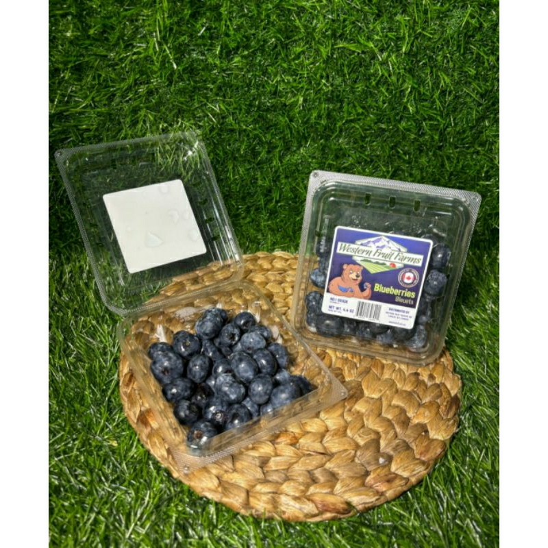 

BLUEBERRY IMPORT