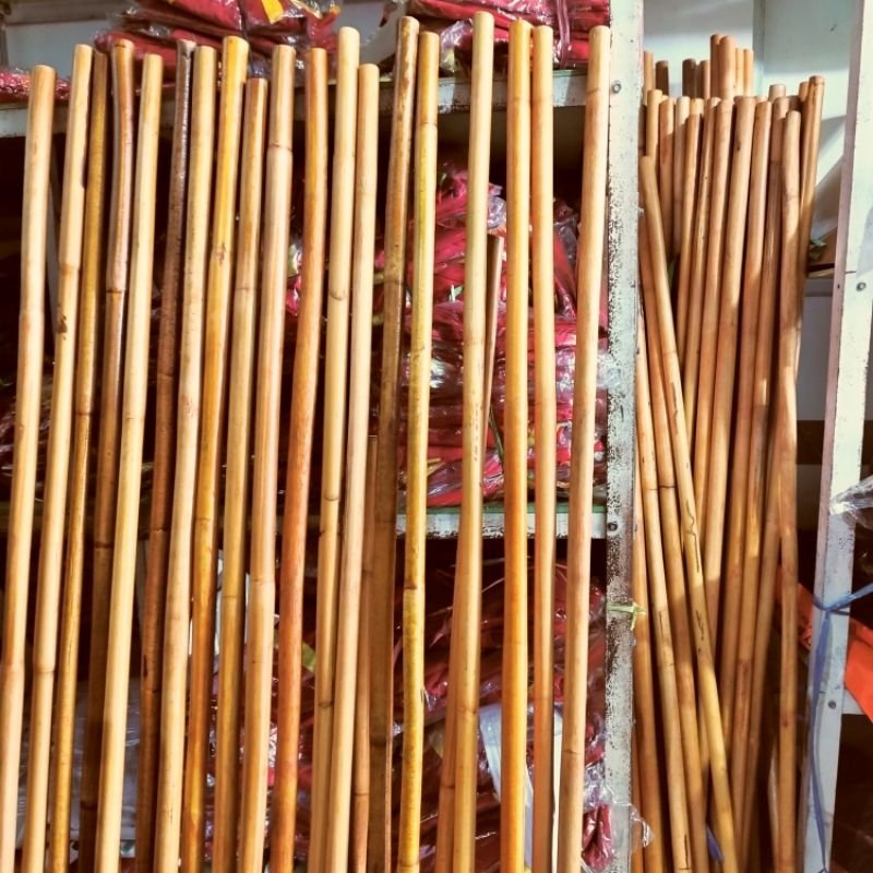 ( REALPICT ) Toya rotan asli toya beladiri toyak silat tongkat wushu STANDART IPSI