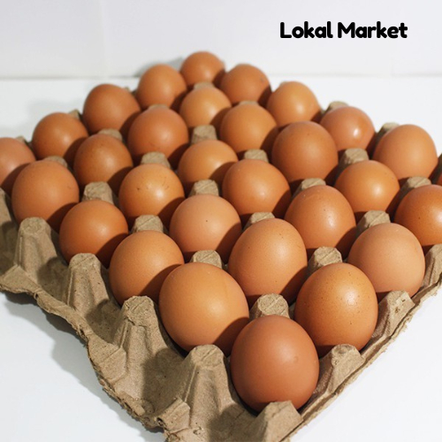 

Telur Ayam Negri fresh 500gr dan 1kg