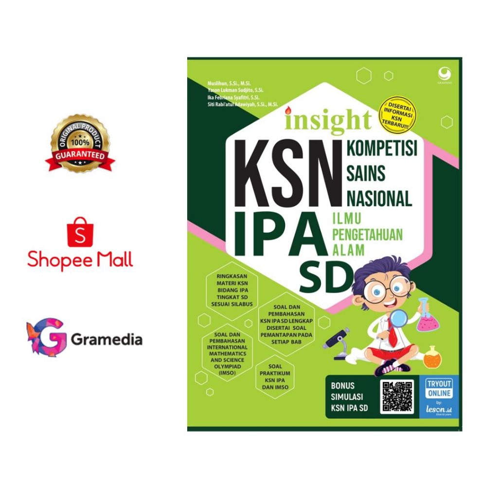 Insight KSN IPA SD