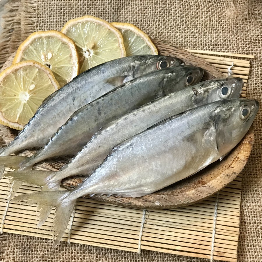 

Ikan Kembung