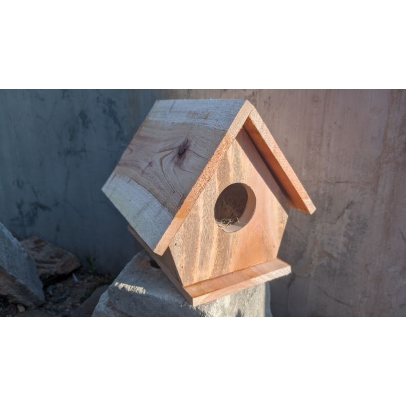 Glodok Rumah Kayu Pintu Atas Sarang Breeding Koloni Bertelur Kandang Burung Lovebird Kenari Parkit