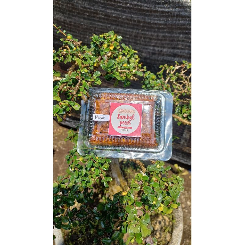 

Sambel Pecel Asli Khas Madiun