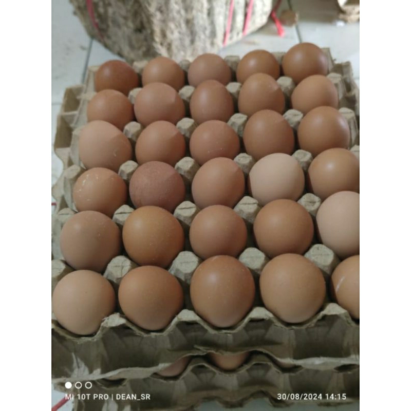 

Instant saja - Telur Ayam 1 papan atau 1/2 papan