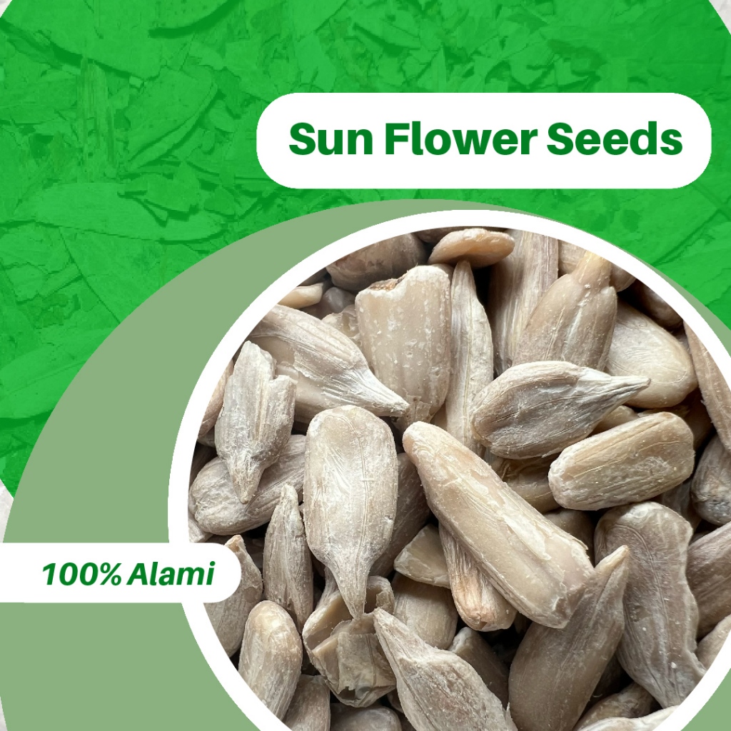 

1KG SUN FLOWER SEED BIJI BUNGA MATAHARI ASLI 100%