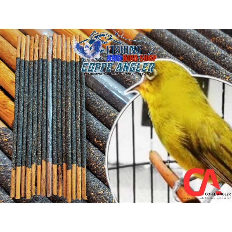 tangkringan ampelas burung kecil