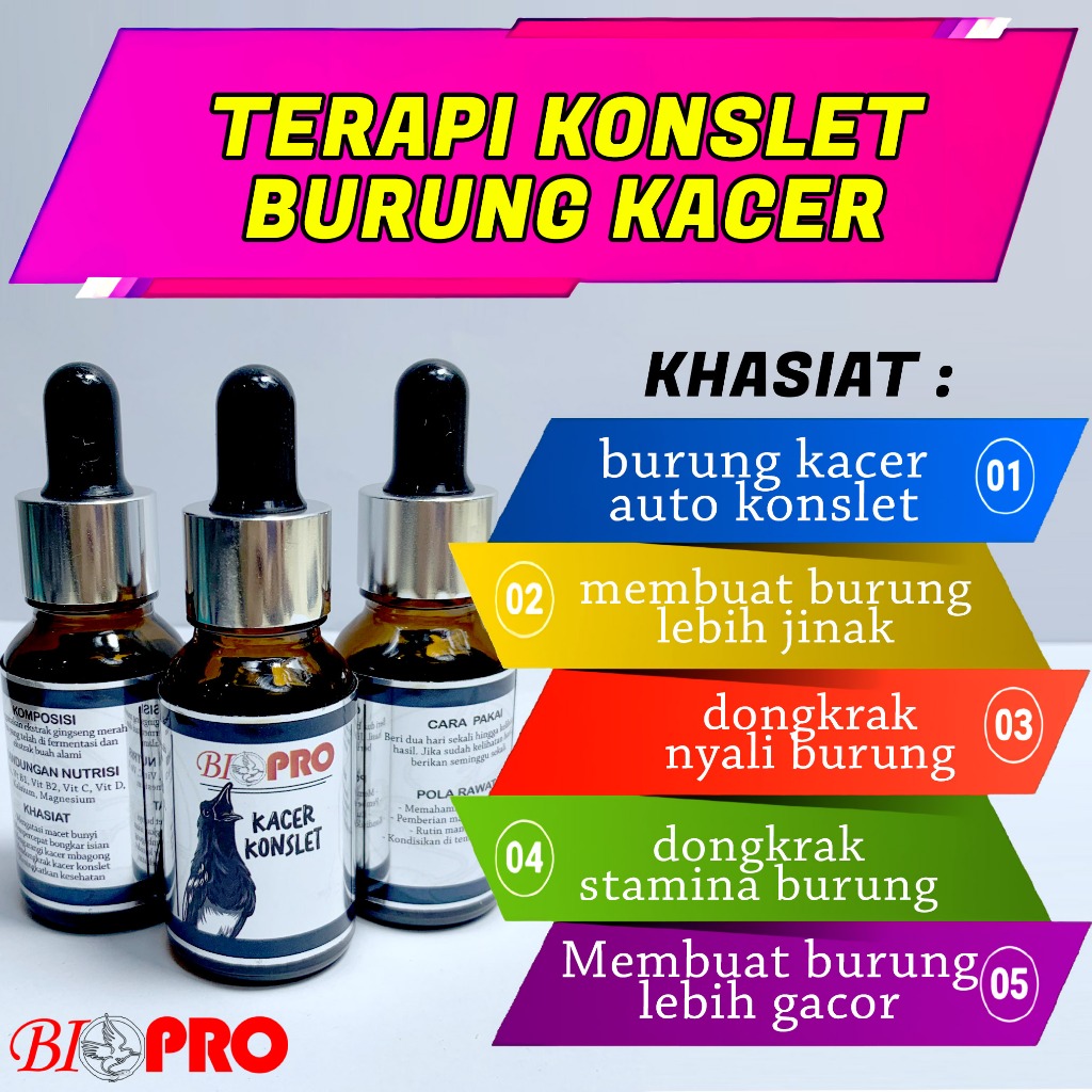 DONGKRAK DURASI KACER BIOPRO KACER KONSLET DURASI PANJANG