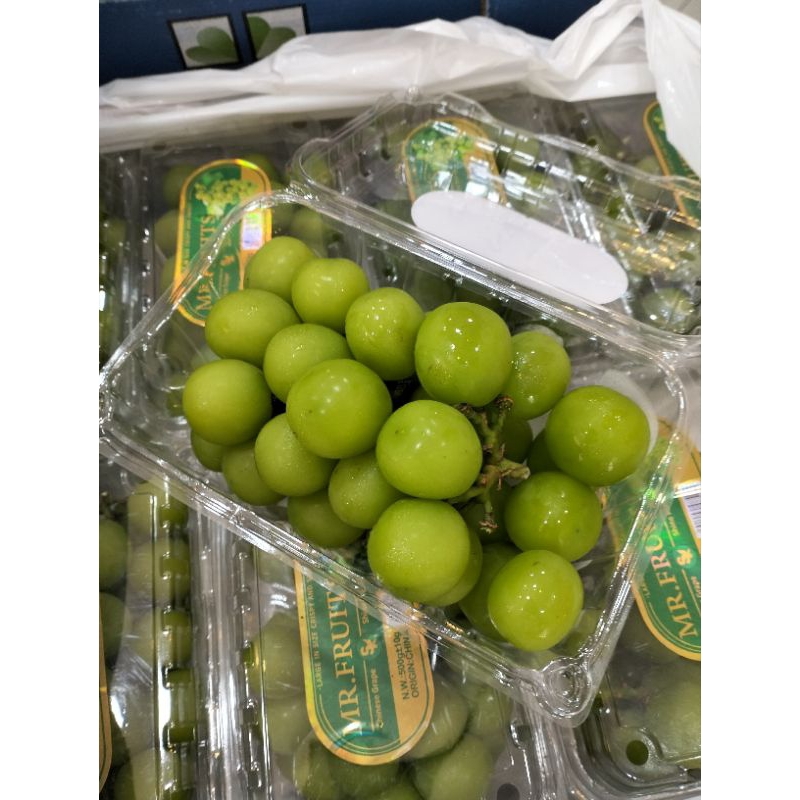 

SHINE MUSCAT PACK - SERBA BUAH