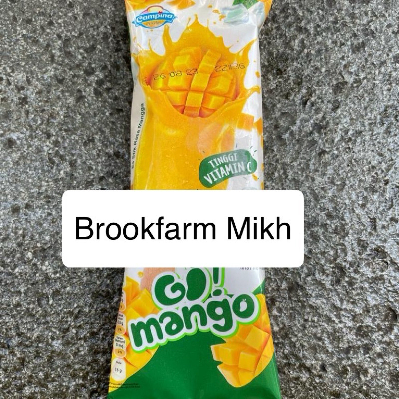 

Campina Go Mango Stick