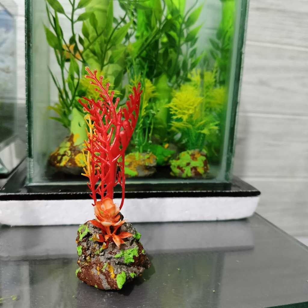 HIASAN TANAMAN UNTUK AKARIUM IKAN CUPANG( BUNGA MERAH PANJANG) (AKUARIUM KECIL) PJ