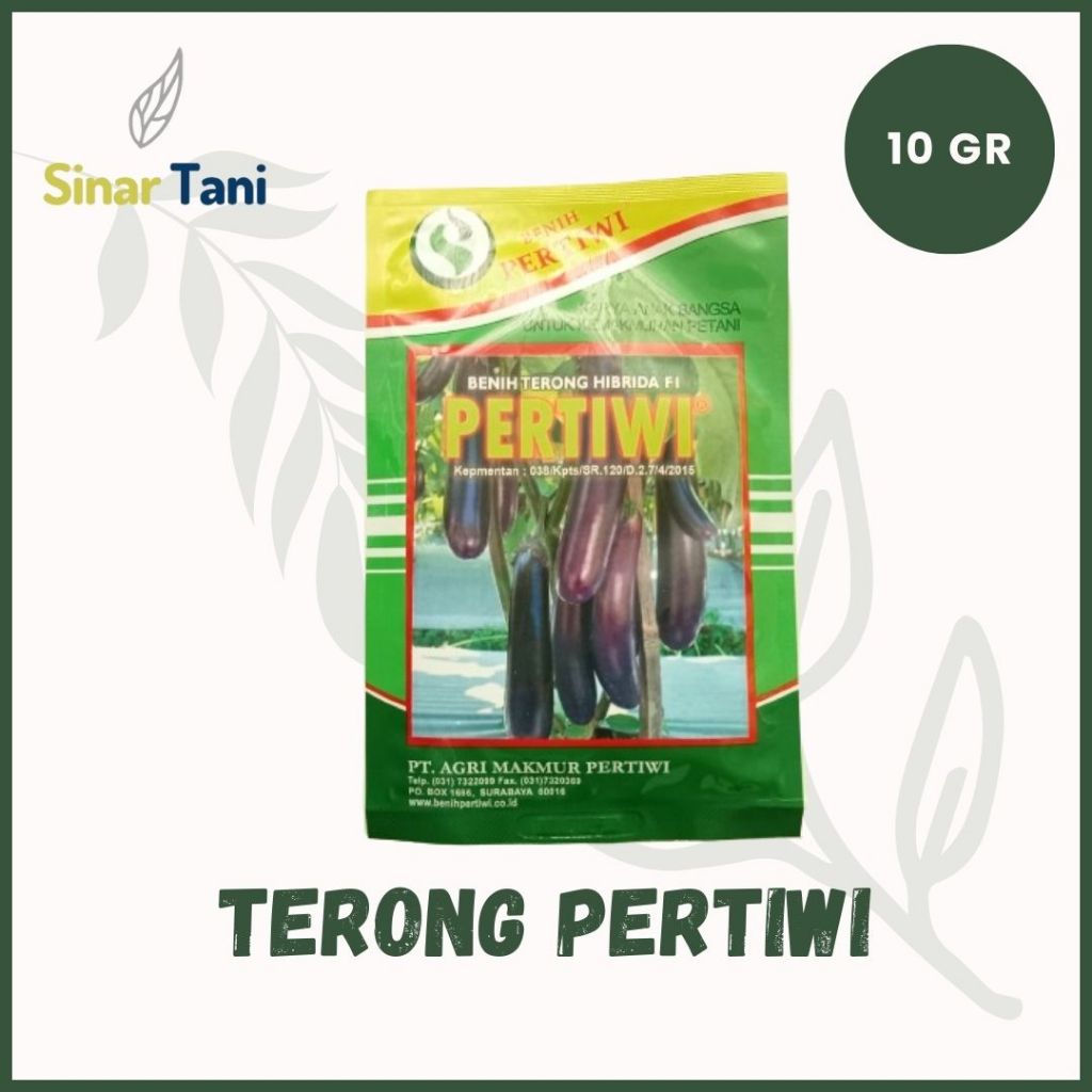 Benih Terong Ungu Pertiwi 10gr Bibit Terung Panjang Hibrida