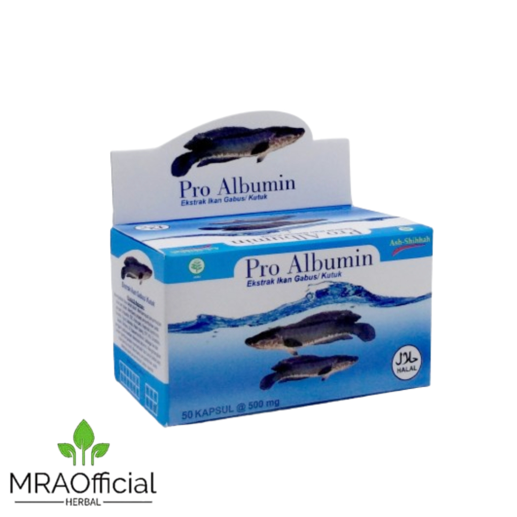 Pro Albumin Ash-Shihhah Kapsul Ekstrak Ikan Gabus | SAH Ekstrak Albumin | Azzayan Albumin Ekstrak Ik