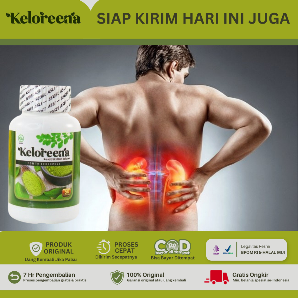 obat ginjal, obat ginjal bengkak, obat batu ginjal - Keloreena