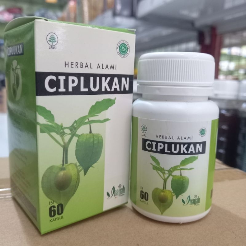 CIPLUKAN / KAPSUL DAUN CIPLUKAN 60 Kapsul