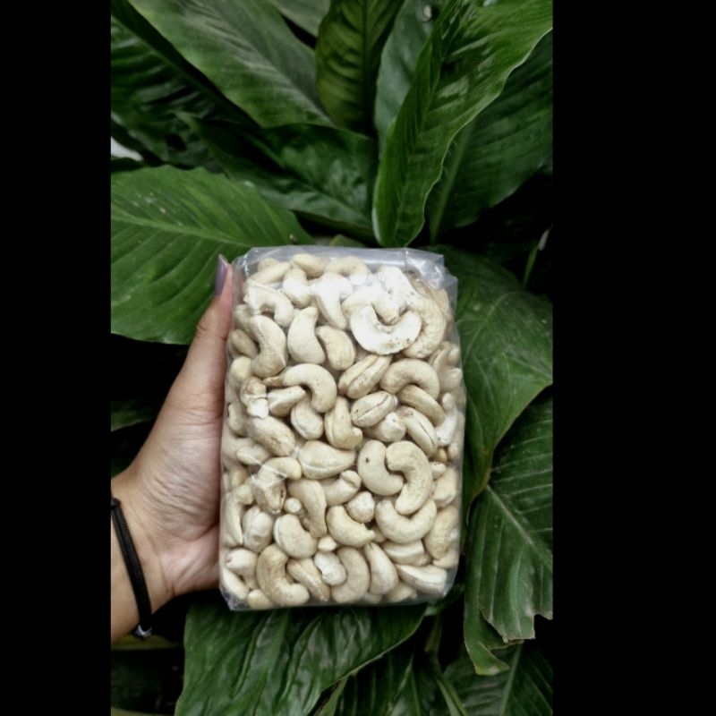 

kacang mete fresh/basah baru kupas