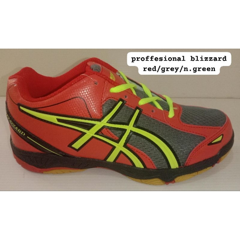 Professional Blizzard