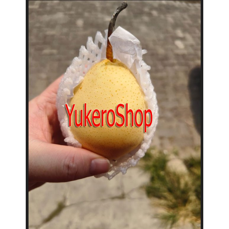 

Pir Yali - Pear Yalie per 1 KG