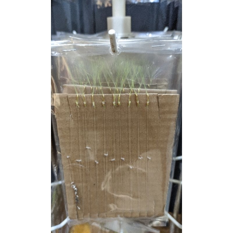 SABIKI/KOTREKAN HANDMADE