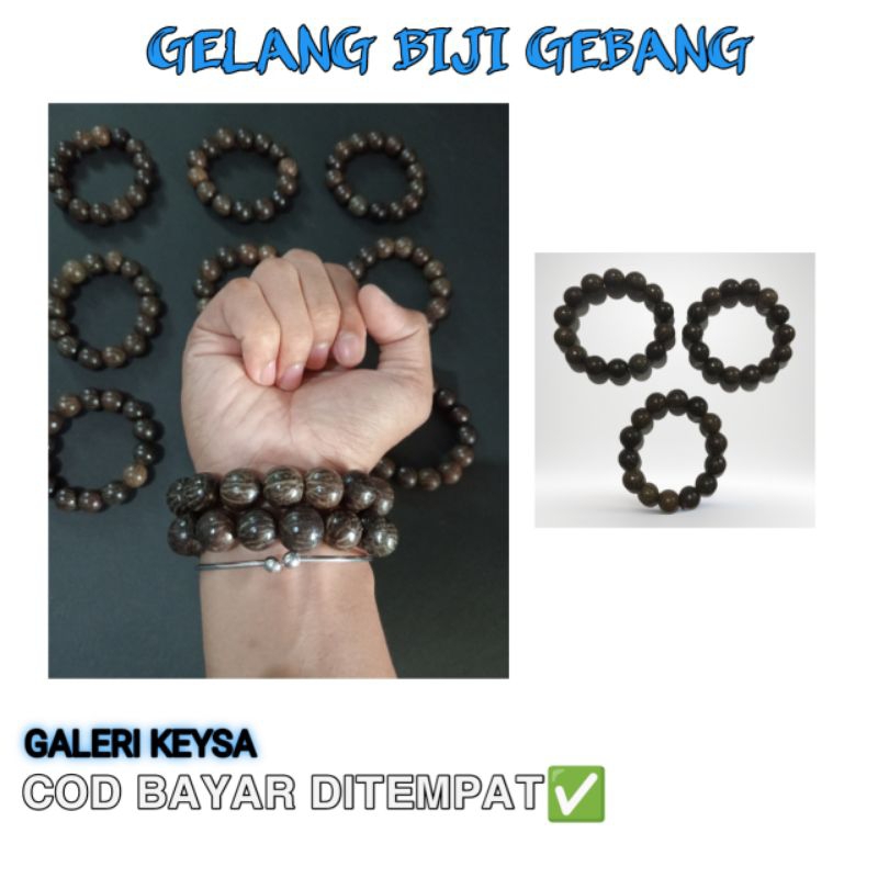 gelang biji gebang biji buah pocok gebang