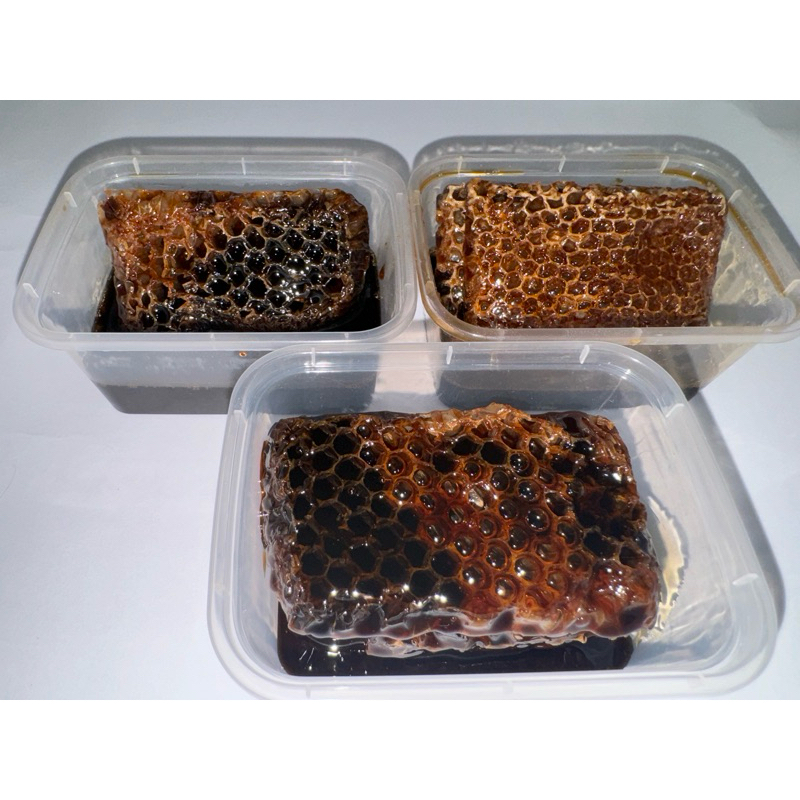 

Madu Sarang 600 Gram Meliefera ll Sarang Madu 600 Gr Asli Original Melifera