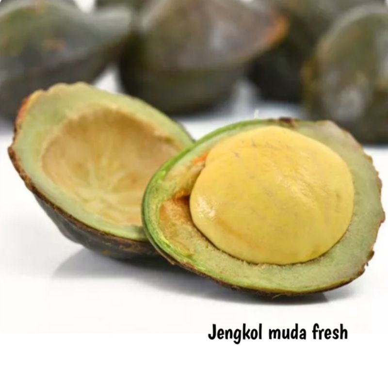 

PROMO JENGKOL MUDA SEGAR 1KG/JENGKOL LALAP/JENGKOL MENTAH/JENGKOL KULIT/JENGKOL MURAH/SAYURAN FRESH