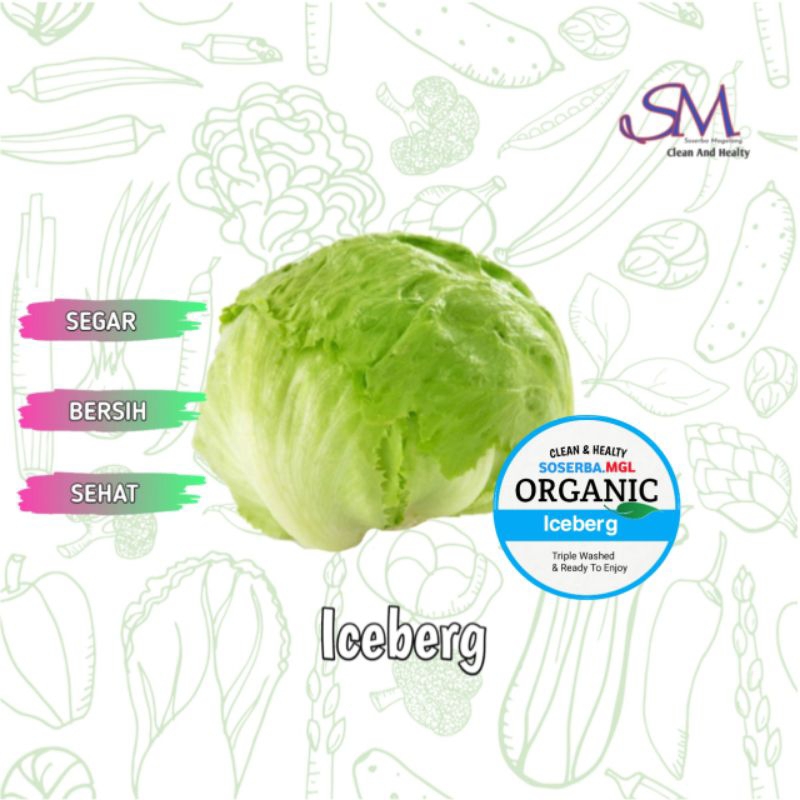 

Iceberg lettuce sayur fresh murah