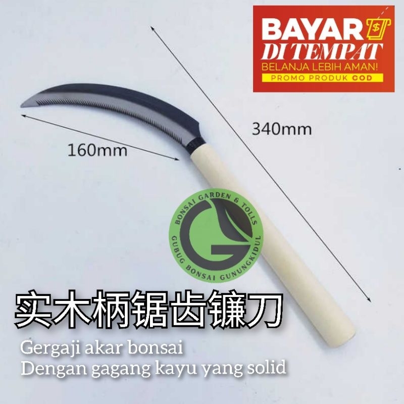 alat bonsai gergaji bonsai gergaji akar