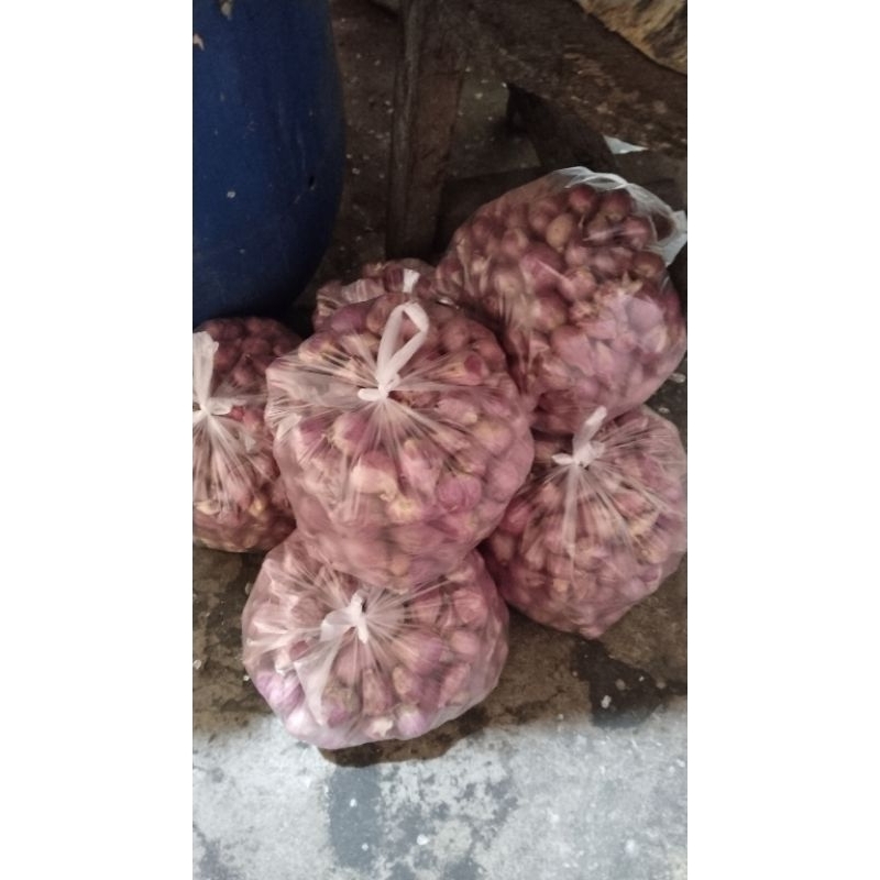 

Bawang merah super
