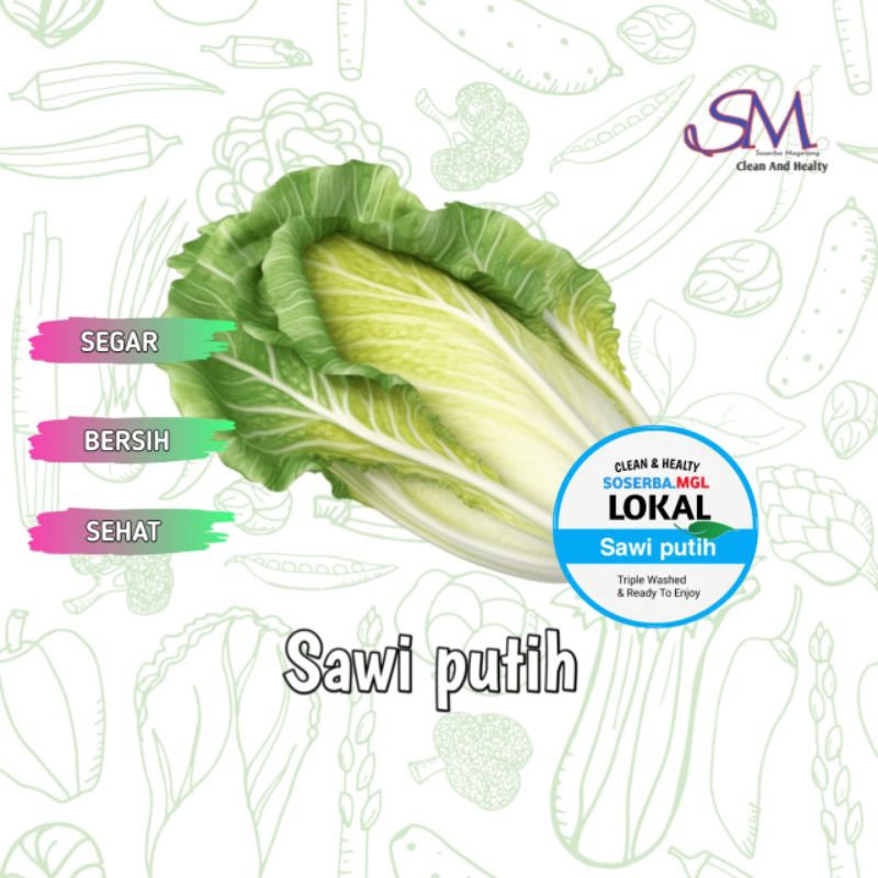 

Sawi putih fresh murah