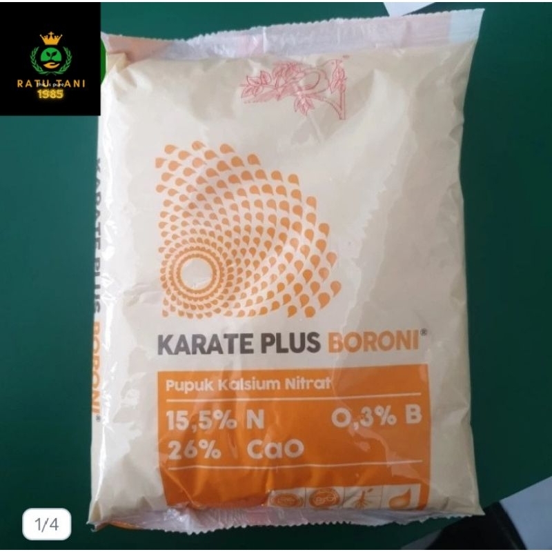karate plus boroni