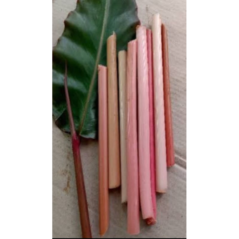

umbut kecombrang merah segar 500g