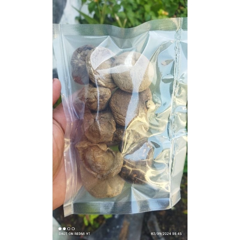 

jamur shitake kering 50 gram