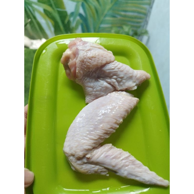 

Sayap Ayam