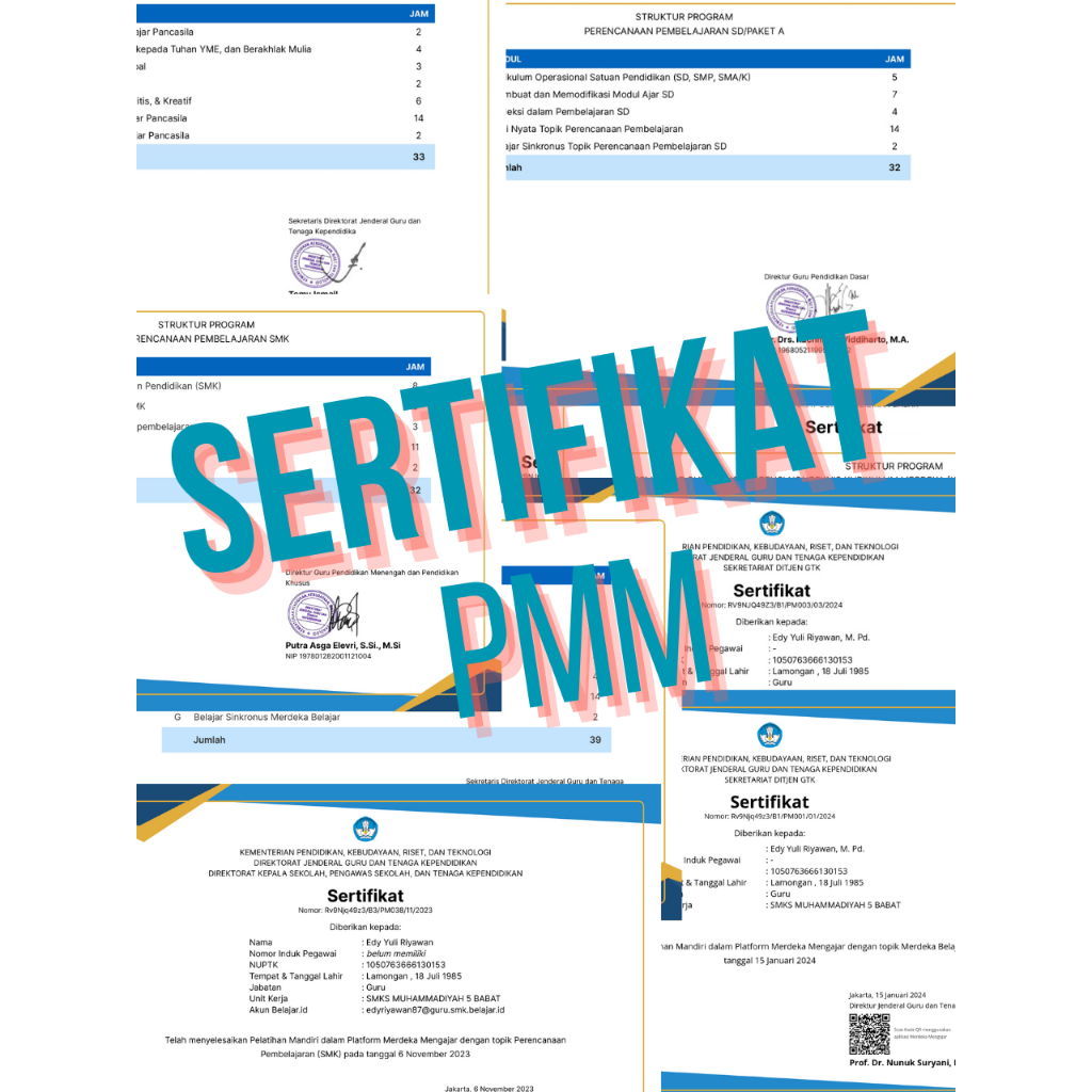 Aksi Nyata + PMM dan sertifikat PMM