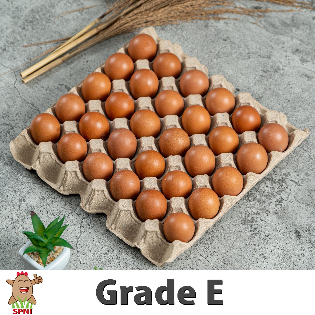 

New // Telur Ayam Spni Kecil (Grade E 60 Butir) Paket 2 Papan // 100% Original