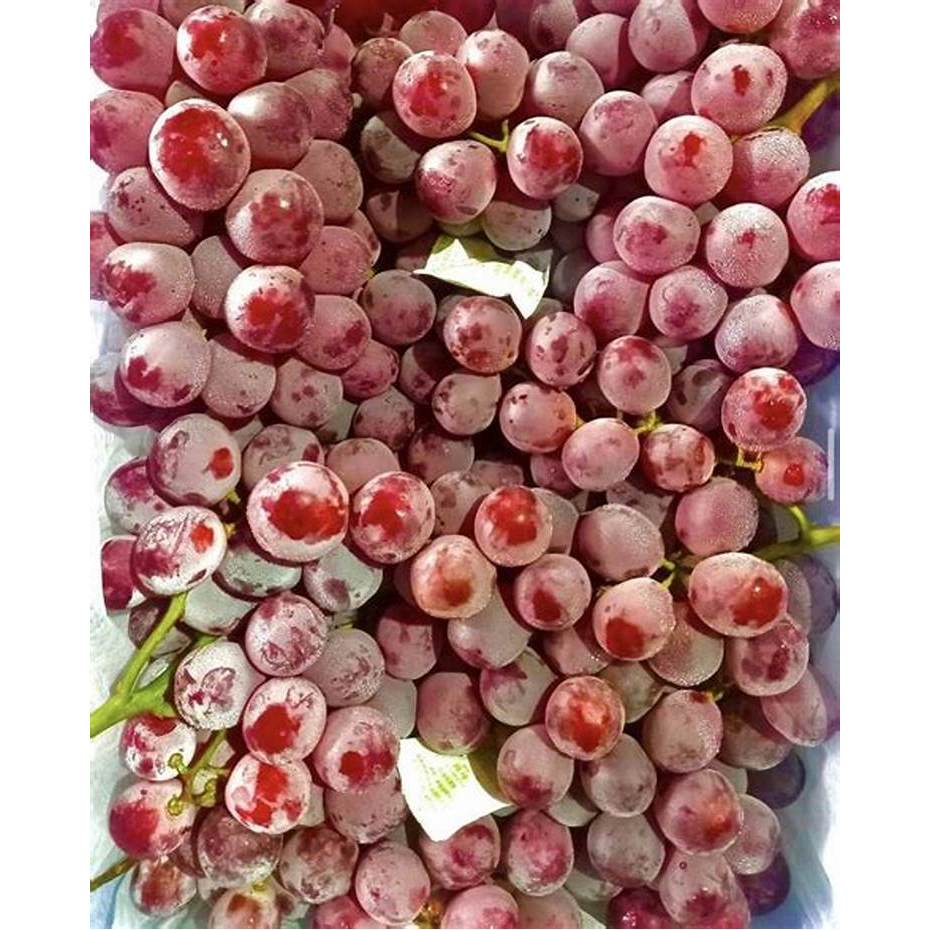 

Anggur Red Globe Fresh 1 Kg