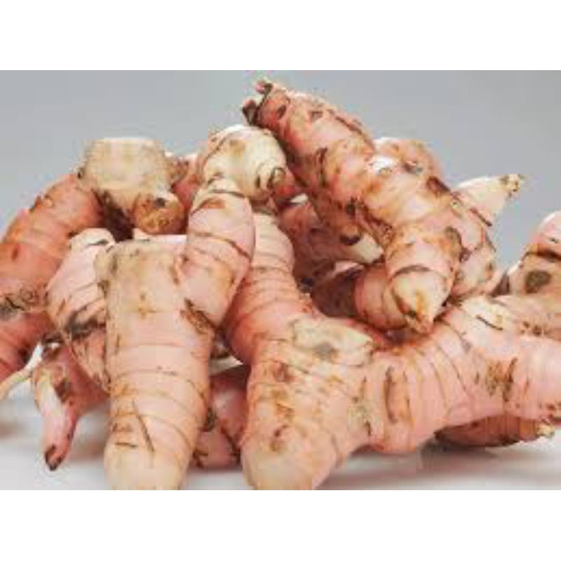 

lengkuas bumbu dapur