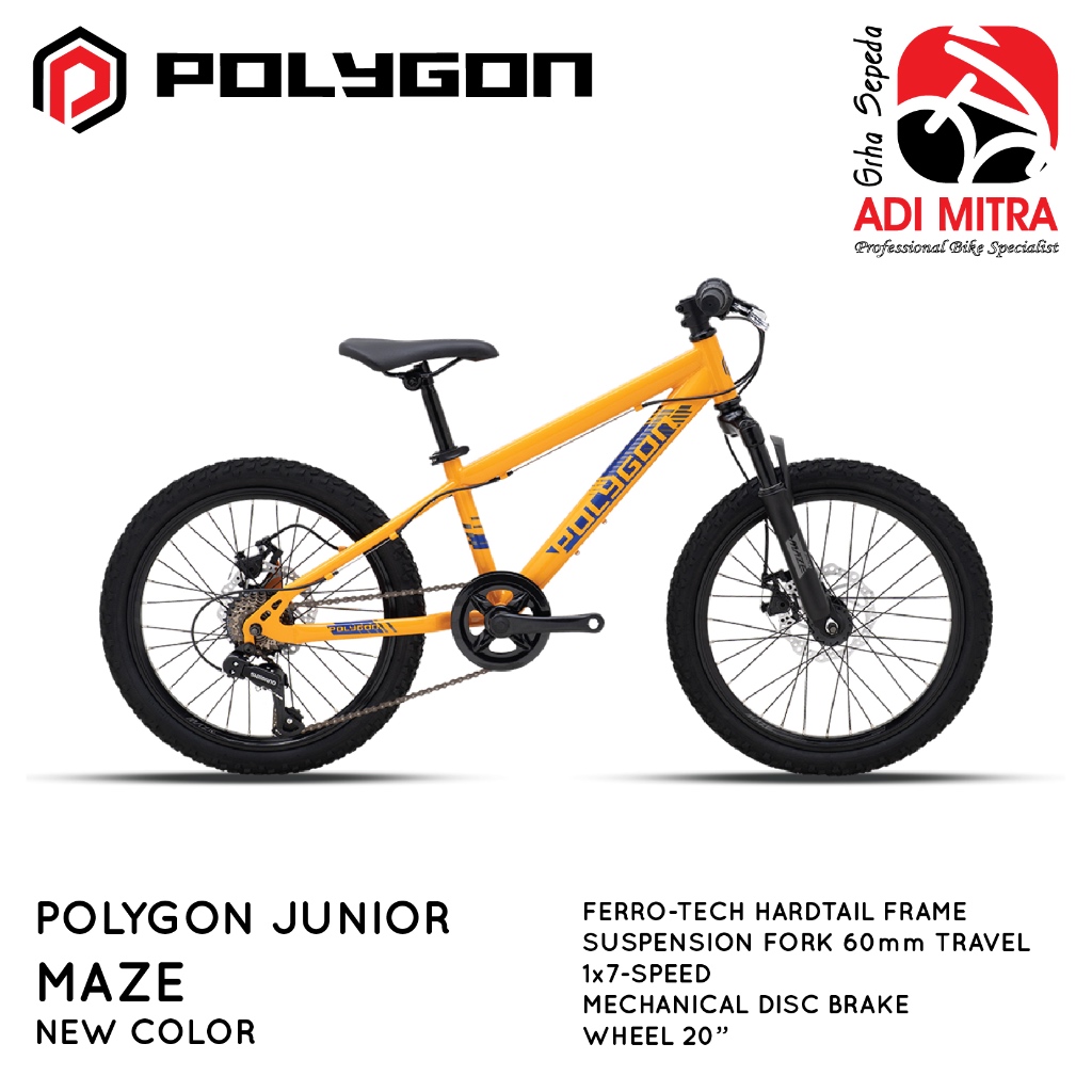 Polygon Maze (20 inch) Sepeda Anak