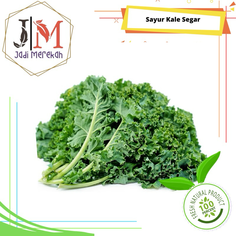 

[JM SoFresh] Sayur Kale Segar Curly/Nero