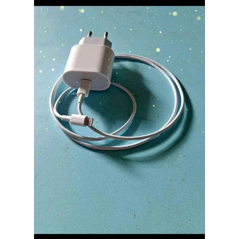 Charger iphone 20watt normal .