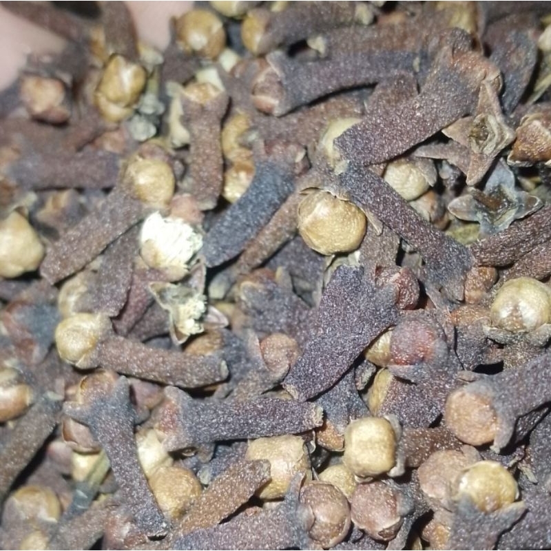 

Cengkeh rempah 1 kg - Cengkeh bumbu dapur