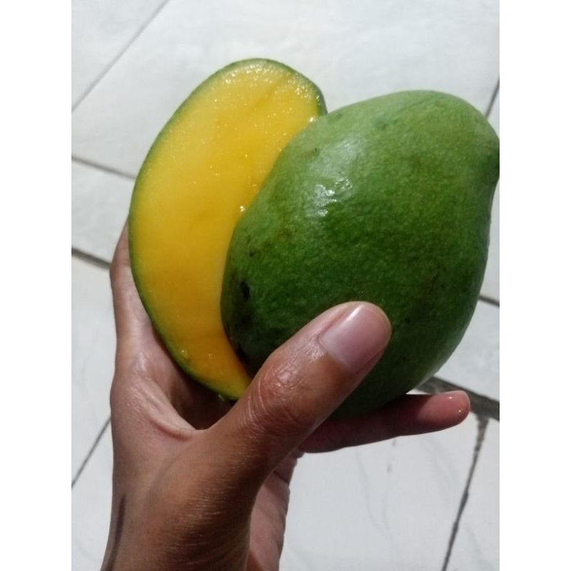 

Mangga Harumanis siap makan 1 kg