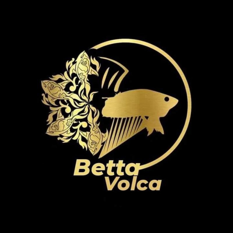 

Jamu Kunyit By Betta Volca