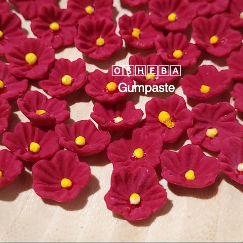 

[osheba] gumpaste bunga BK sakura 40
