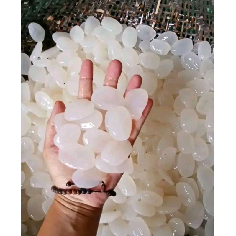 

kolang kaling mentah