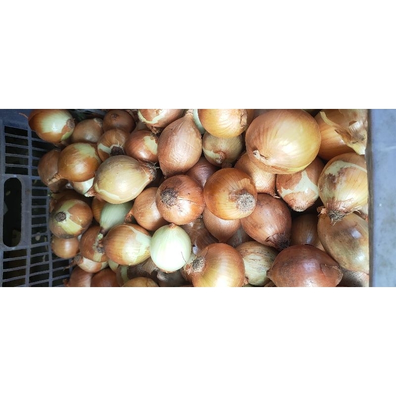 

bombay 250g