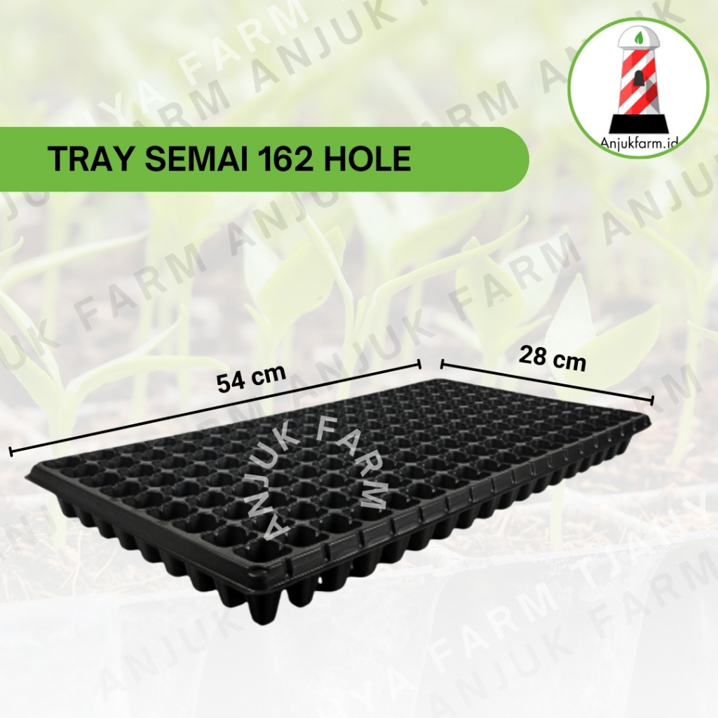 Tray Pot 162 Hole / Tray Semai 162 Lubang