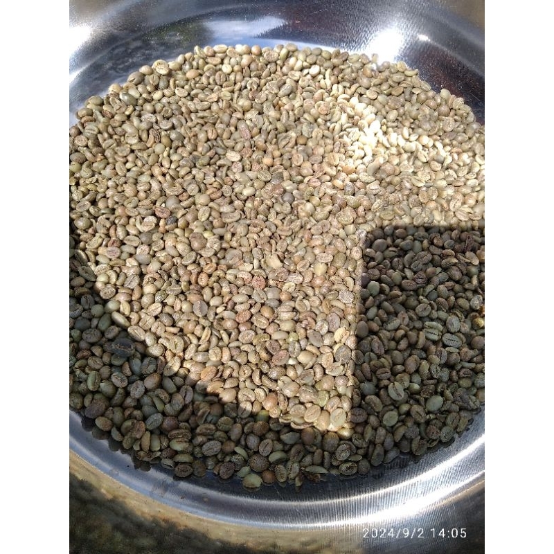

Biji Kopi Robusta Mentah asli Toraja